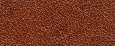 furniture-8302