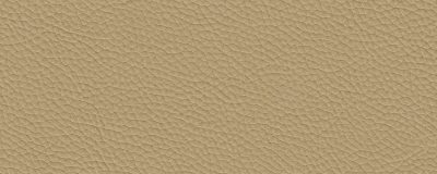 furniture-8518