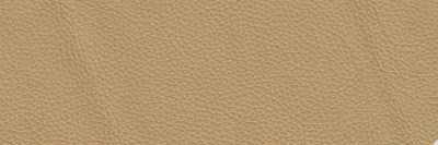 furniture-8518