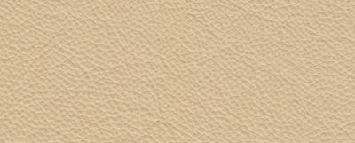 furniture-8518
