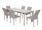 Dining table + 6x Chairs